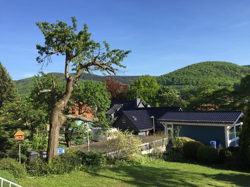 Ferienhaus Goethestrasse バート・ハルツブルク エクステリア 写真